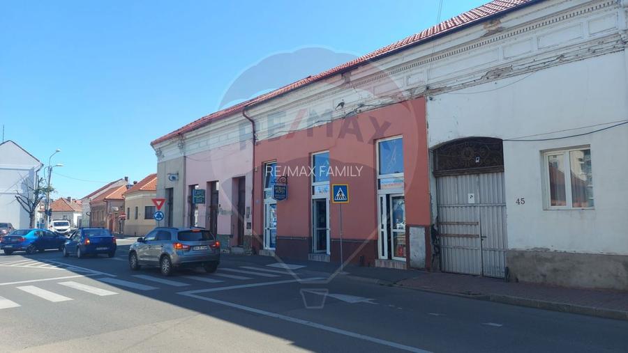 Apartament cu o camera la curte de vanzare pe Ady Endre, Oradea, Bihor - 9