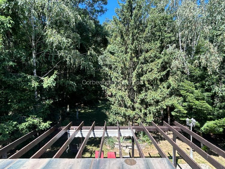 Casa Vermont, cu Padure Privata, Paradisul Verde, teren 1800mp, gradina matura - 10