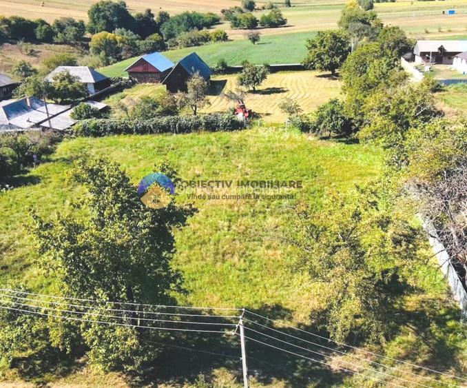TEREN intravilan 3260 mp  ROZNOV – CHINTINICI - 5