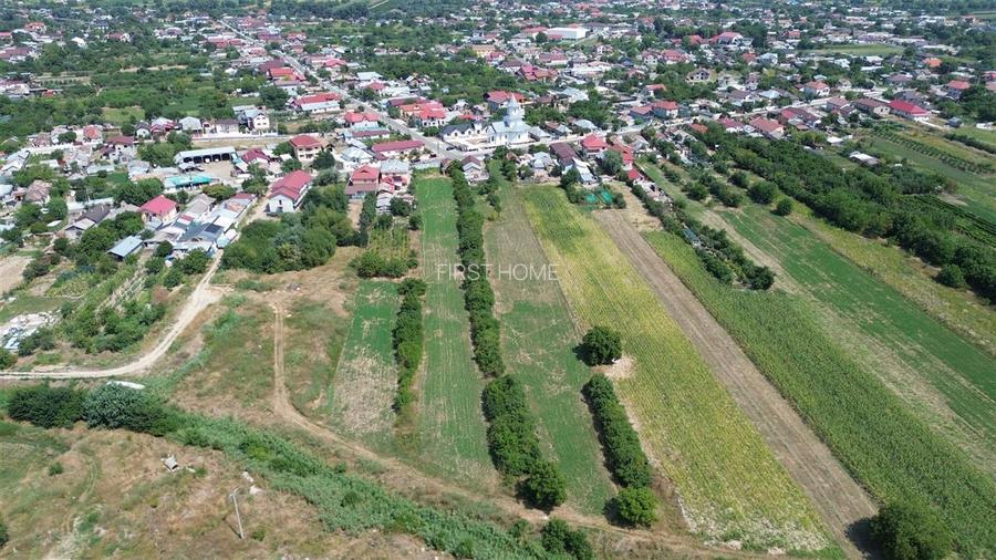 Teren  4.699mp sat Milcov de vanzare la sosea - 20