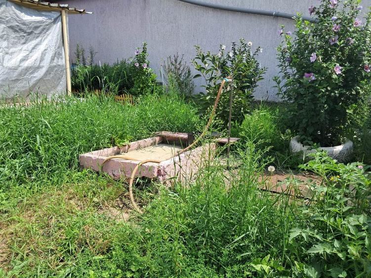 Casa singur in curte in Gusterita
