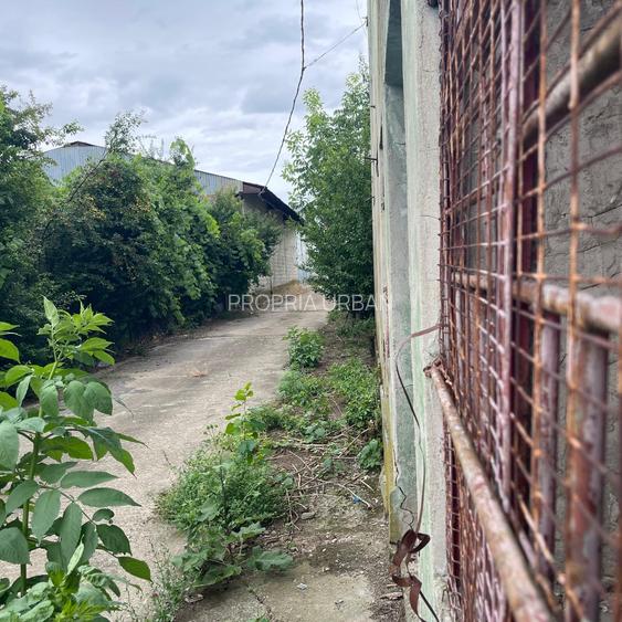 Complex industrial/Ferma de vânzare | Orțișoara, jud. Timiș - 9