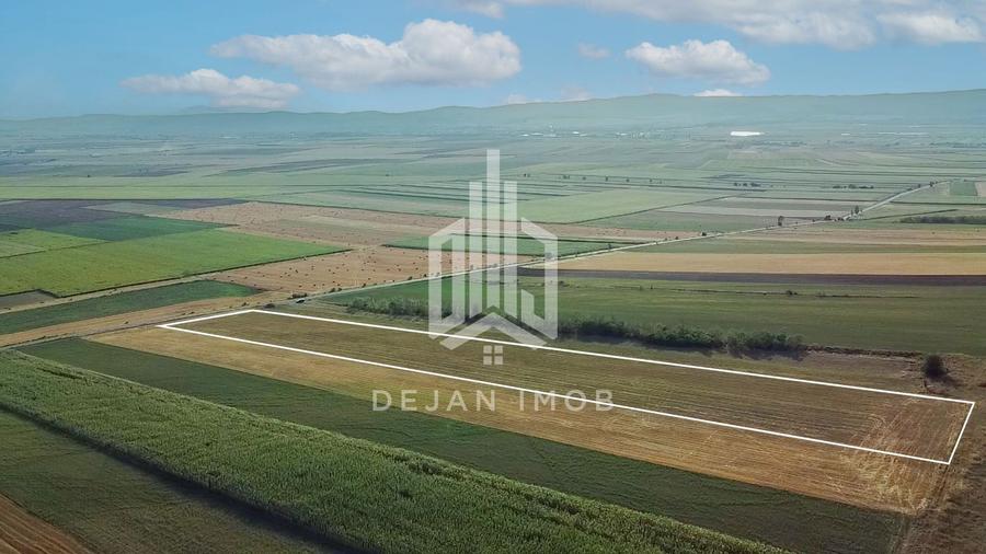 Teren extravilan | 19.000 mp | Ghidfalău