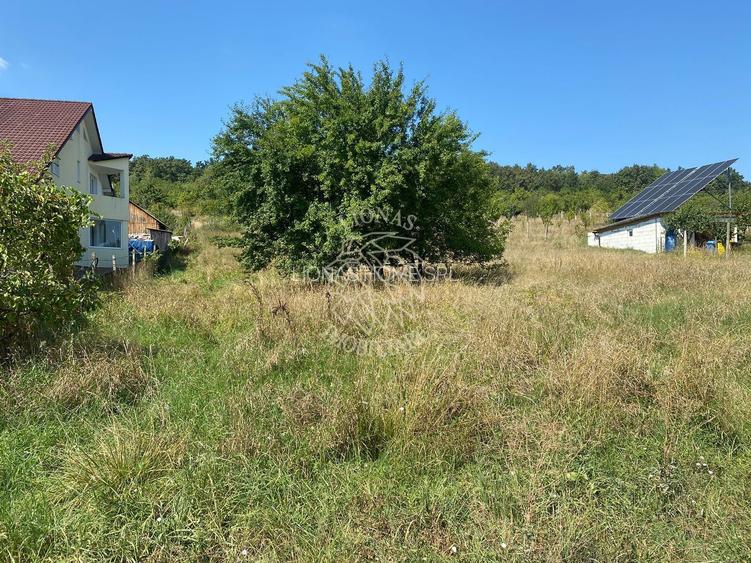 Teren intravilan 1300 mp-Viile cu Pomi-Unirea-Exclusiv - 6