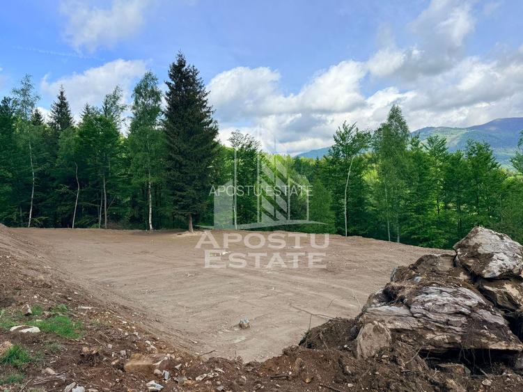 Oportunitate! Domeniu montan, cu lac propriu, oras Lupeni, Hunedoara - 25