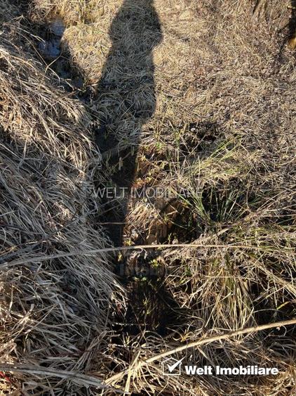 Teren extravilan in Saliste - 4