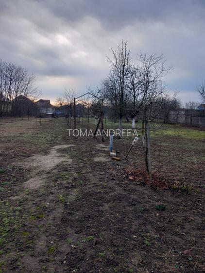 Vând casă locuită  în Zimandu Nou - 8