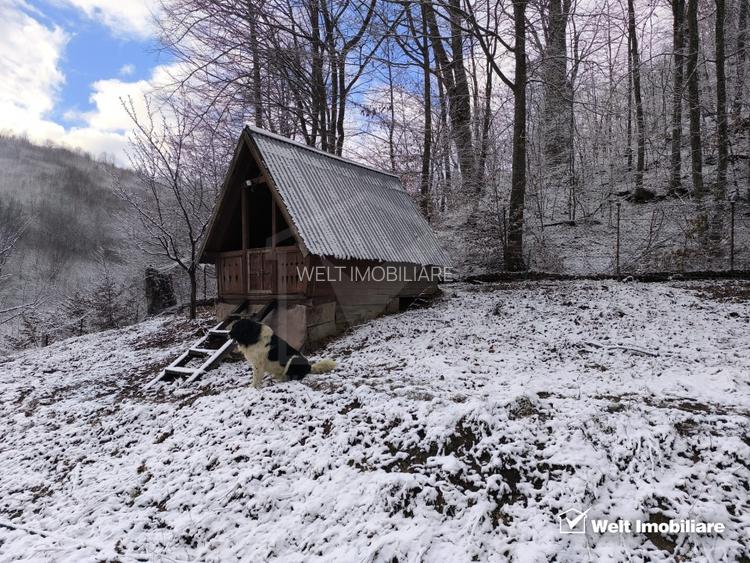 Casa de vacanta, cu lac, 5640 mp teren, Huta, com. Chiuiesti, jud. Cluj - 43