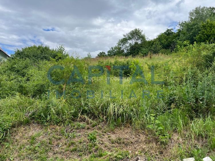 Teren Intravilan Constructii Podis-Margineni - 6