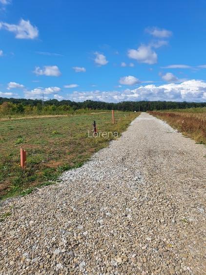 Vanzare teren cu UTILITATI in Branesti langa LAC si PADURE - str Lotusului - 5