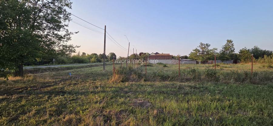 Teren intravilan în localitatea Berini - 6