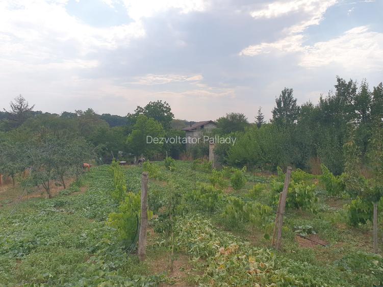 Teren 1100mp la 30 km de Bucuresti - 4