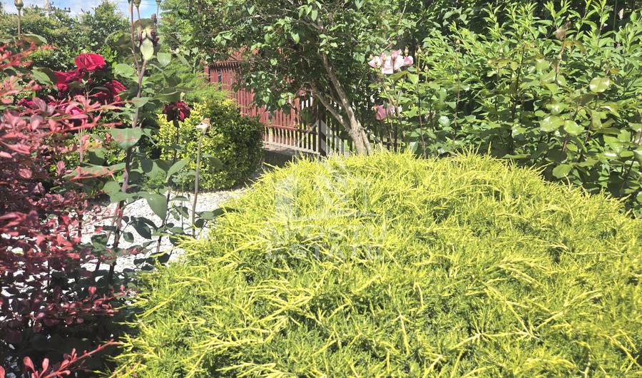 Casa individuala, P+1, teren generos, zona Mehala - 36