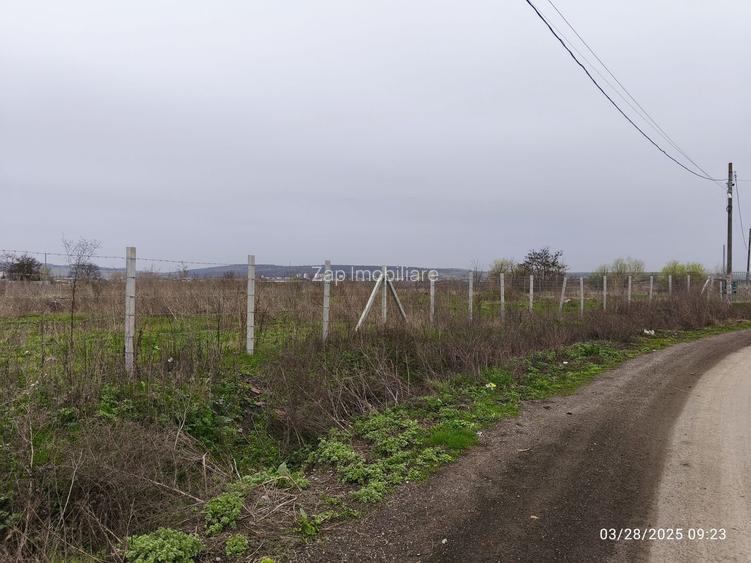 Teren drept  19059 mp - toate utilitățile - asfalt - Sancrai - 7