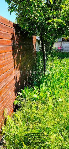 Proprietate Dumbrava Rosie, Vila S+P+E si teren - 14