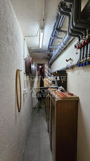 Vila de vanzare in Ghioroc - 24