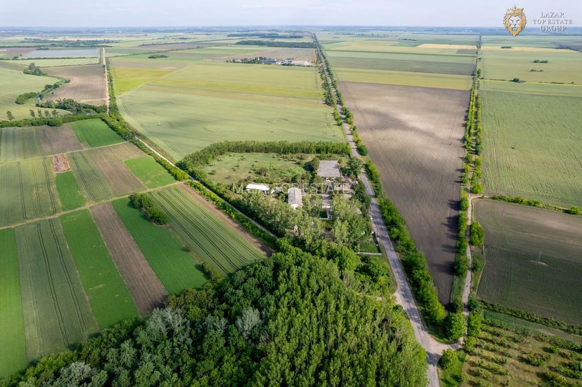 Cladire industriala de vanzare cu potential 3,5 ha in Batania - 36