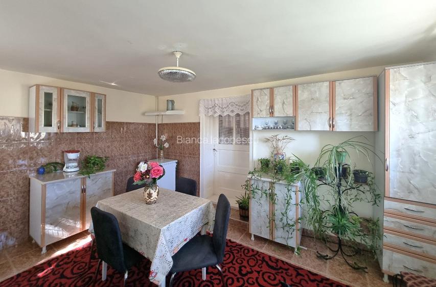 Casa 4 camere + teren 7500 mp - 8