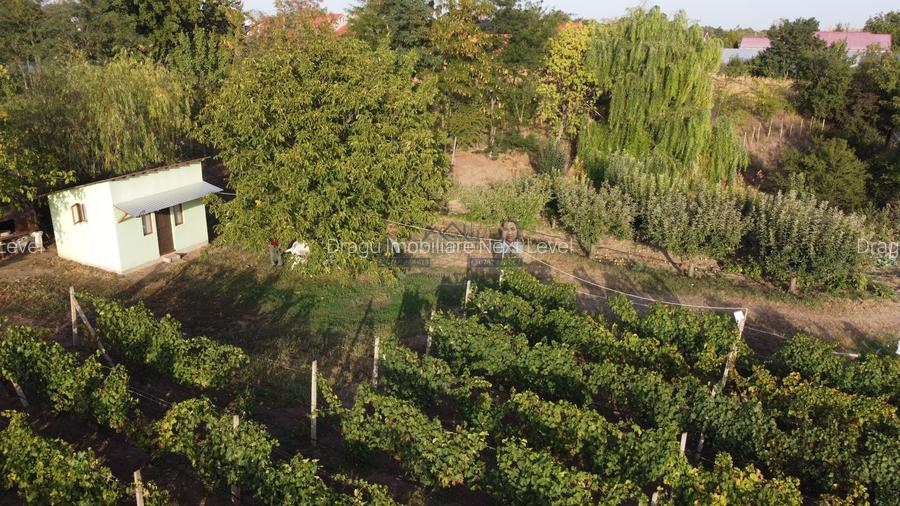 Teren intravilan Tecuci/Podgorie si Pomi Fructiferi/5000 mp - 10