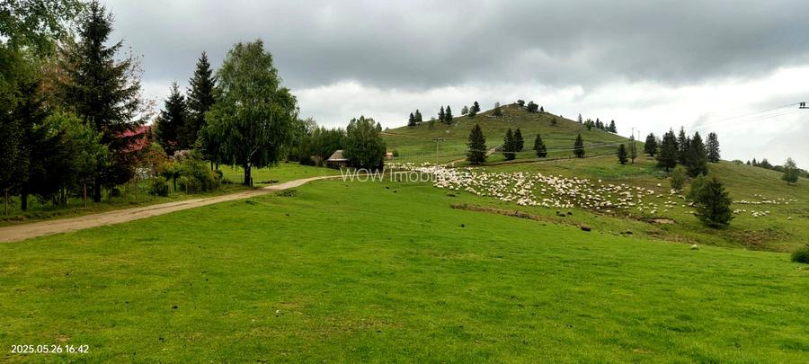 Teren de vanzare PUZ Aprobat in Paltinis - 5
