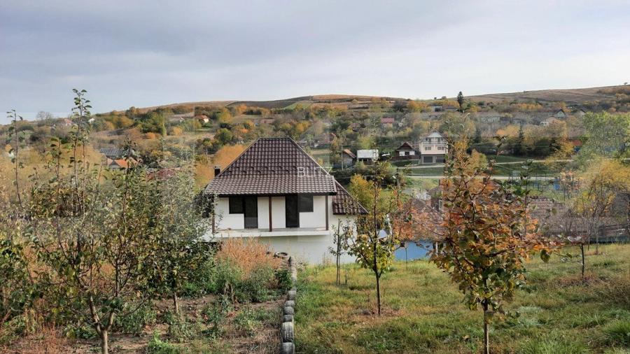 De vanzare casa individuala,135 mp utili, 1553 mp teren - 2