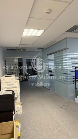 Spatiu de Birouri Caramfil - Herastrau - 3