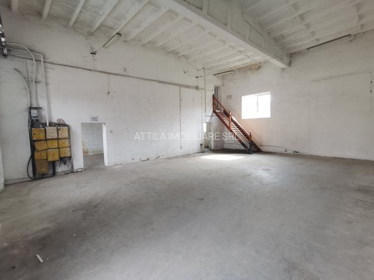 Iosefin Depozit 175 mp 875 euro +TVA - 5