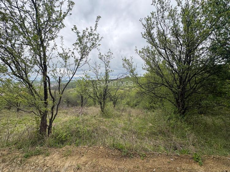 Teren extravilan 2900mp acces la 2 drumuri 48.500 eur neg - 5