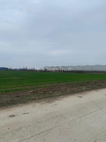 Afumati DJ 200 Teren extravilan - 3