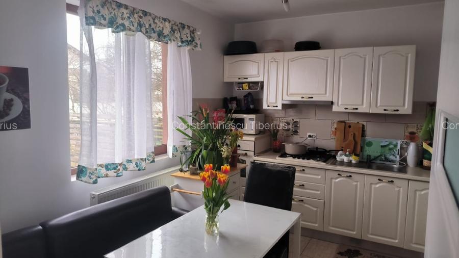 Casă individuală cu 6 camere în Sat Bâcu, Joița – Direct proprietar - 14