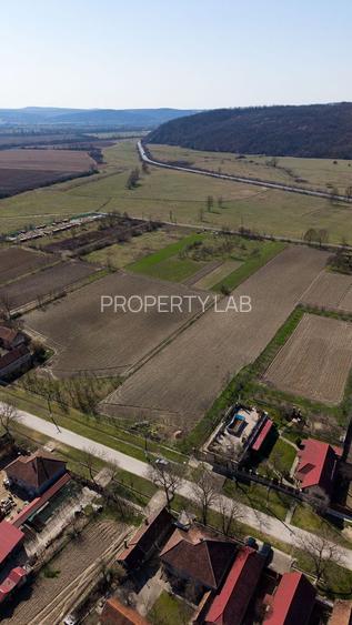 Loc de casă în Odvoș - Conop 3000mp - 30