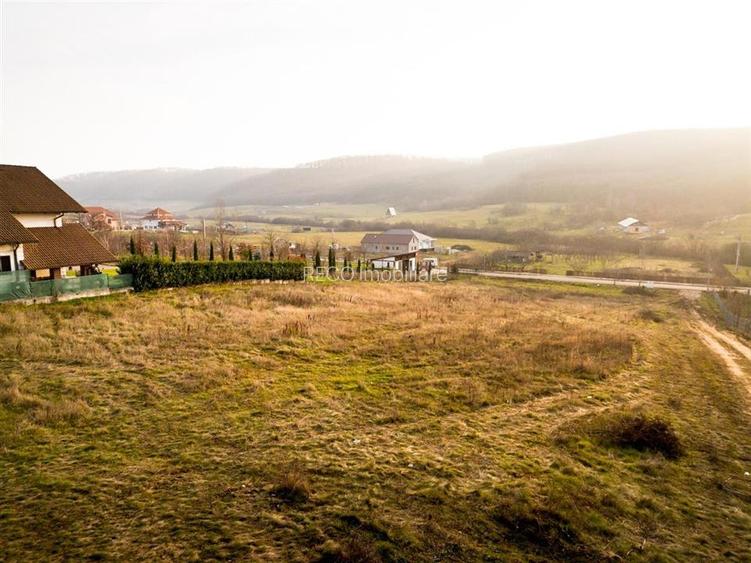 RECO Teren intravilan  langa padure-  PUZ    aprobat -Betfia, aproape de Baile F - 7