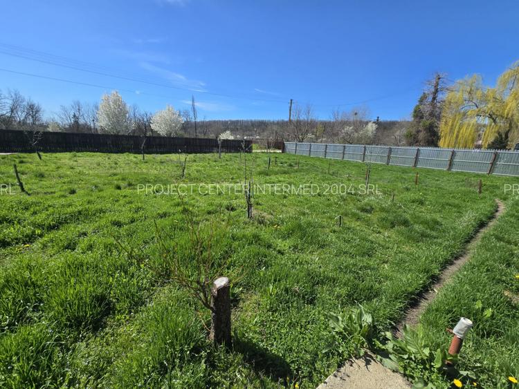 Gospodărie Hârsești la 40 km de Pitești - 7