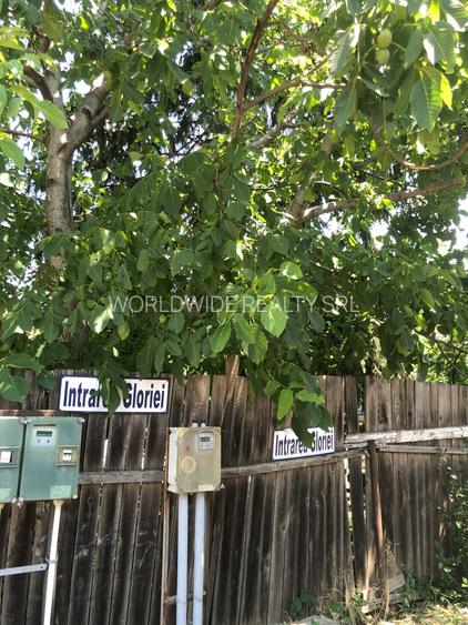 Teren de casă – zonă liniștită, ferit de trafic; langa podul Ciorogarla - 8