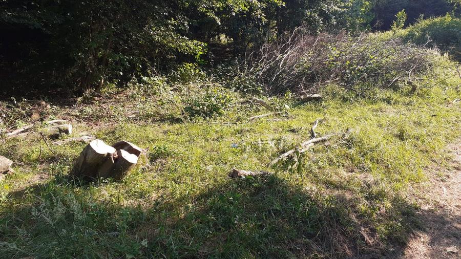 Proprietar vand  parcela pentru cabana de vacanta,   doar 6500 euro - negociabil - 7