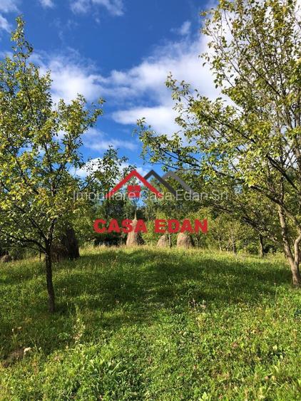 Teren extravilan in Brebu(Pietriceaua)--9104mp--50.000e - 4