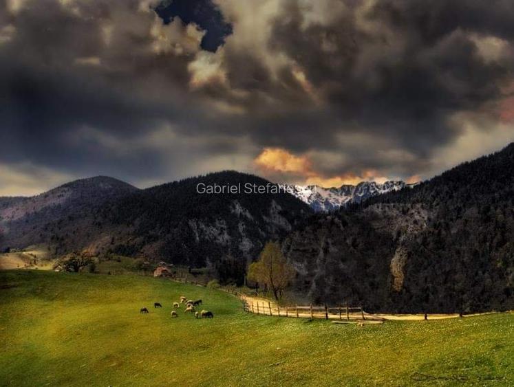 teren case de vvacanta,pensiuni,training place - 7