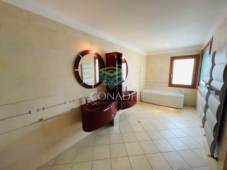 Iancu Nicolae, vila de inchiriat, 5 camere - 15