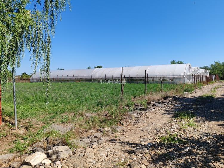 Teren intravilan , liber , zona linistita , civilizata , 40 km de Bucuresti - 2