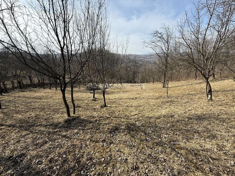 Teren intravilan 2788 mp deschidere 55 ml cu vedere panoramica ! - 7