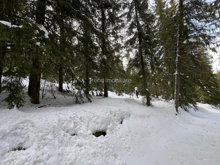 Teren intravilan cu panorama - statiunea Muntele Baisorii - 3