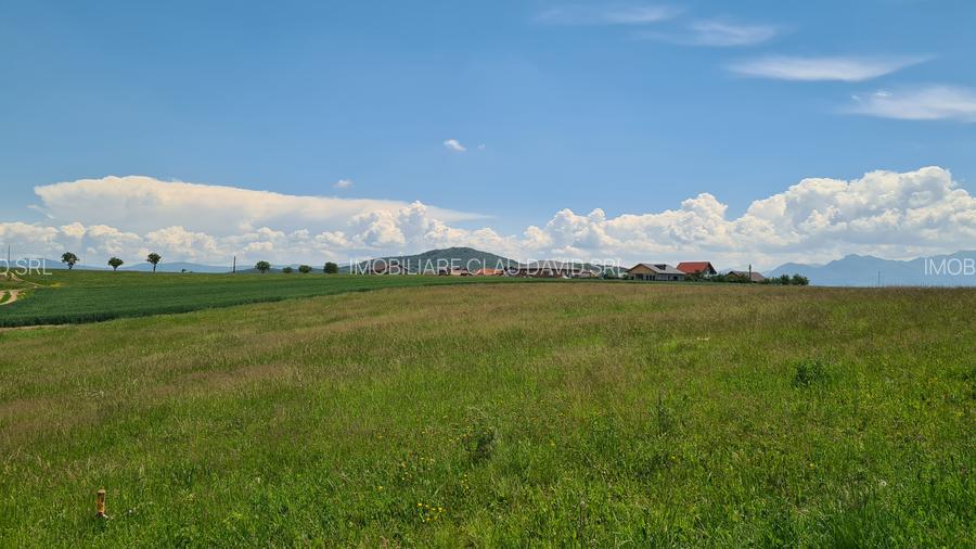 TEREN INTRAVILAN  BOD - 1200 mp pentru constructii case Sp+P+E+M - 16