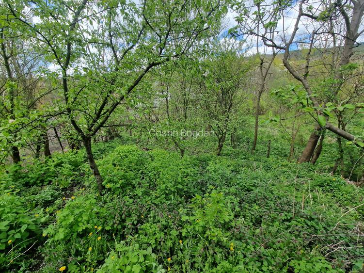 De Vanzare CASA + TEREN 1094mp VALEA LEURZII, DAMBOVITA - 8