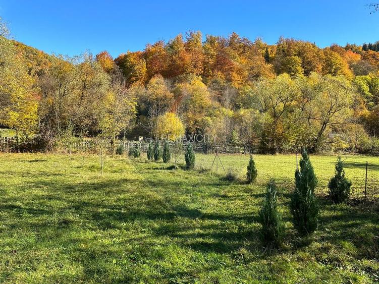 Teren de vanzare Cuiejdel 1350 mp - 4