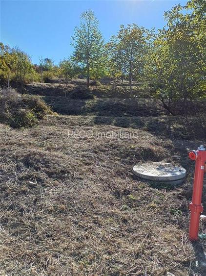 Reco Teren intravilan zona exclusivista Gheorge Doja 975 mp - 5