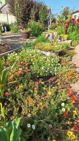 VILA UNICAT ULTRALUX P+1 +CASA CU TEREN 1412MP ZONA PALAZU MARE - 26