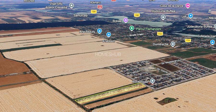 Teren intravilan 13124 mp cu front 44.5 m | Buftea - Cartierul Tineretului - 6