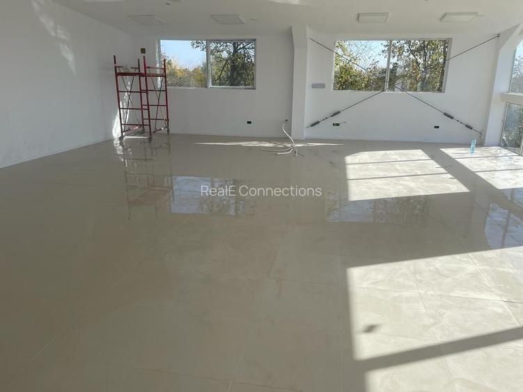 Hală industrială cu vizibilitate directă A2 | acces facil autostradă | Fundulea - 7