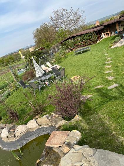 Vila de vanzare, la intrare in Paclisa - 10