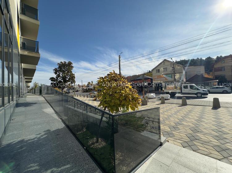Spatiu comercial intabulat de vanzare, 420mp, Pasaj Bucium - 40